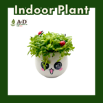 Dragon Fruit Seedlings Emoji (S)
