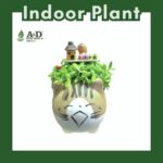 Dragon Fruit Seedlings Animal(Cat)
