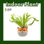 Fern Variegated Dog (M)