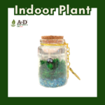 Pocket Terrarium