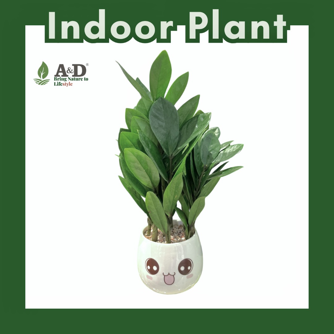 ZZ Plant Emoji (XL)