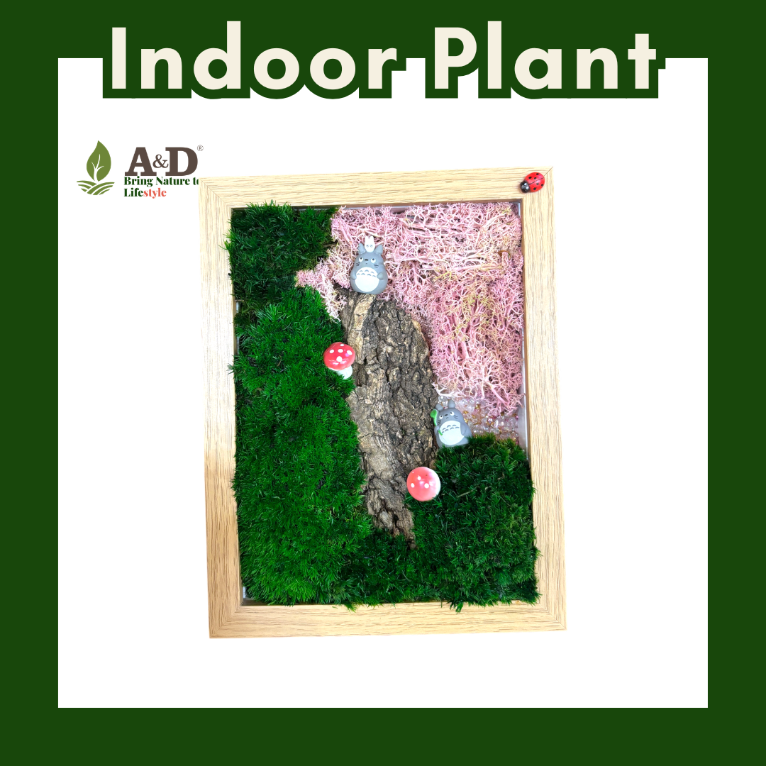 Preserved Moss Frame A4