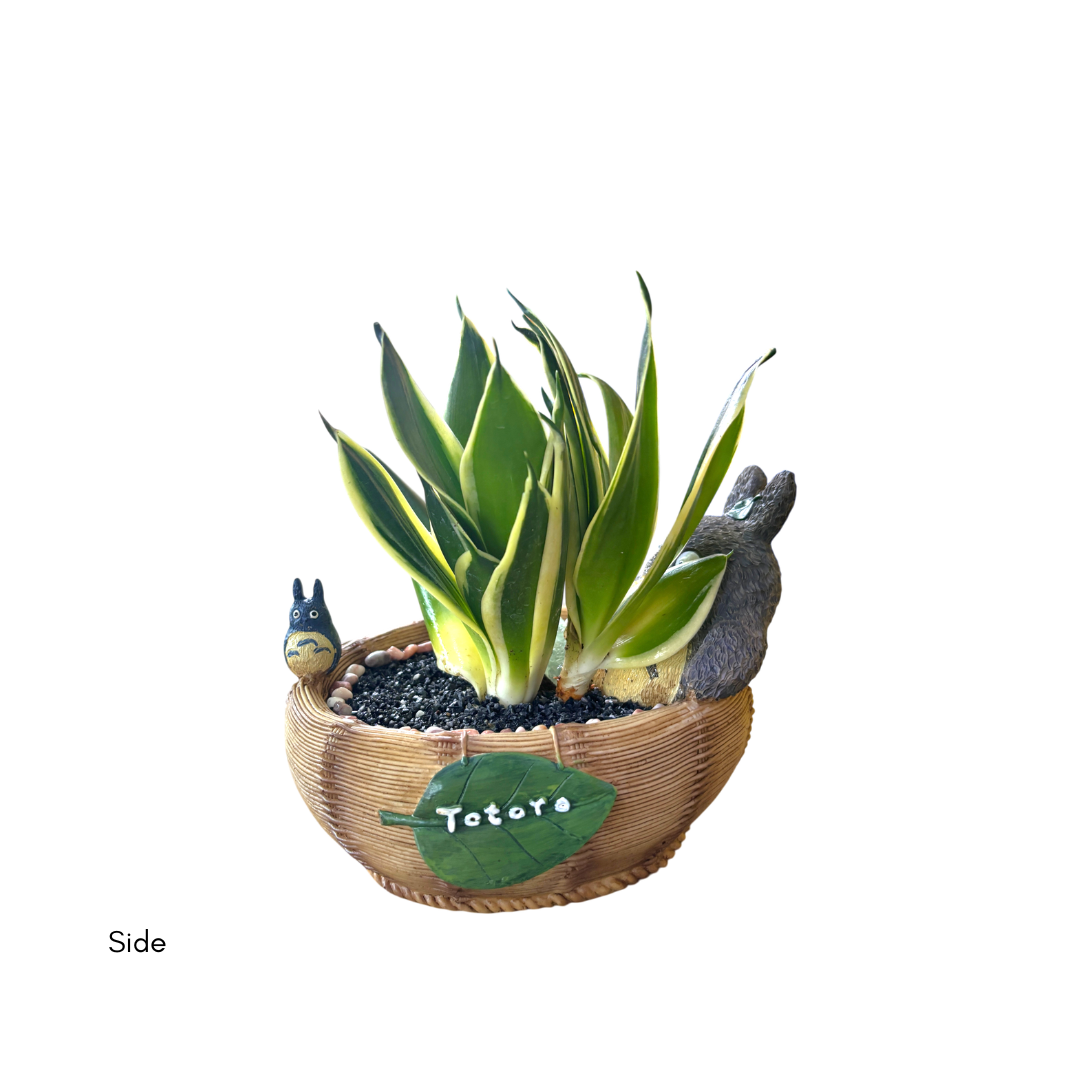 Tiger Tail Totoro Basket XL - Image 3