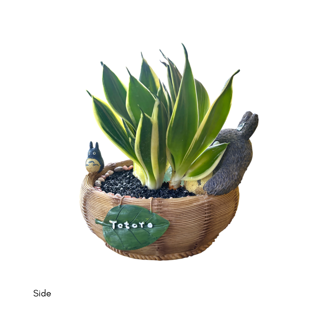 Tiger Tail Totoro Basket XL - Image 4