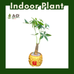 Dollar Tree Chinese Pot Big