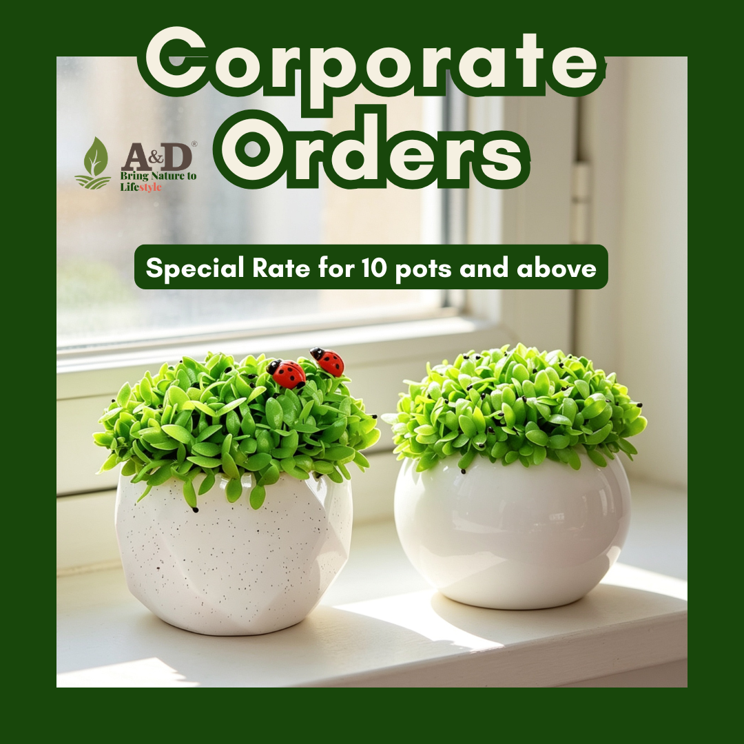Corporate Order